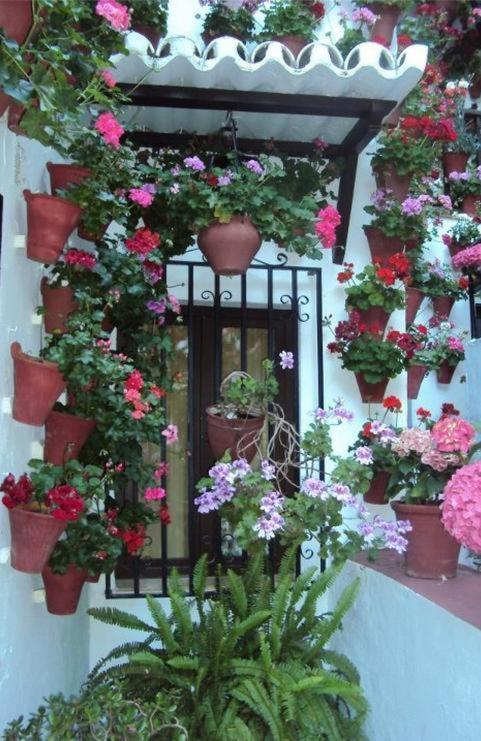 Hostal Los Claveles Baena Exterior foto